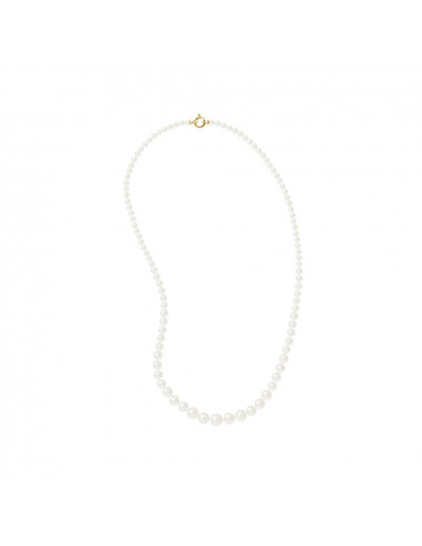 Collier Rang Perles de Culture - Or - Myrtil