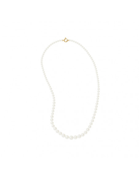 Collier Rang Perles de Culture - Or - Myrtil