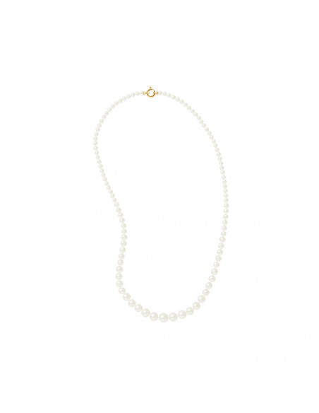 Collier Perles de Culture - Or - Eae