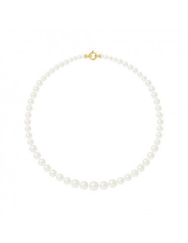 Collier Rang Perles de Culture - Or -...