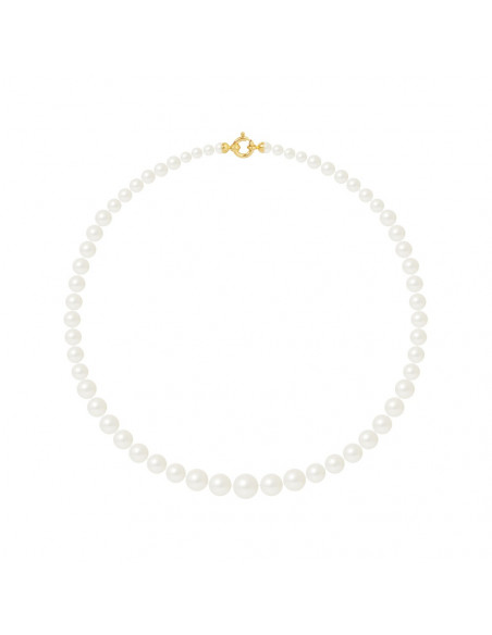 Collier Rang Perles de Culture - Or - Michaella