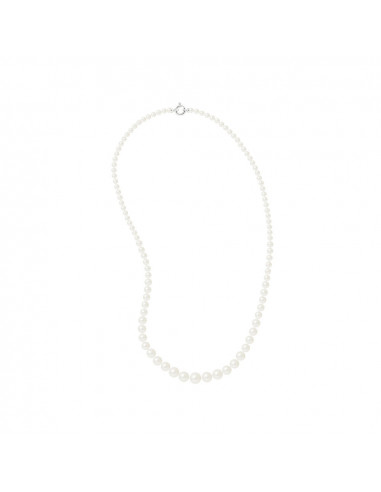 Collier Perles de Culture - Or - Eae