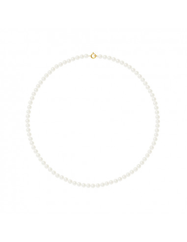 Collier Rang Perles de Culture - Or - Gemma