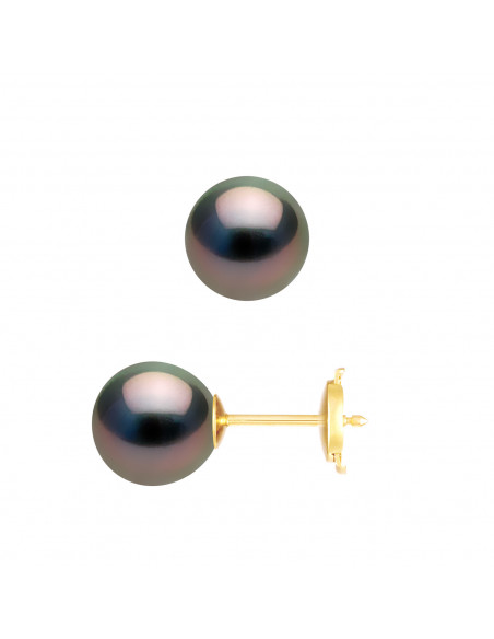 Boucles d'Oreilles Perles de Tahiti - Or - Ludmila